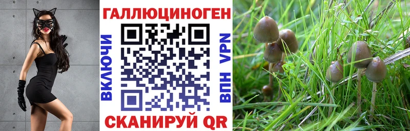 Псилоцибиновые грибы мухоморы  купить   мега рабочий сайт  Карачев 